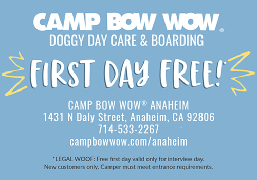 Camp Bow Wow Anaheim